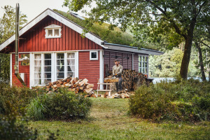 MS 162, 40 cm, PMM3, 3/8" P