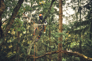 MSA 220 T, sans batterie ni chargeur, 30 cm, PS3 Pro, 3/8"