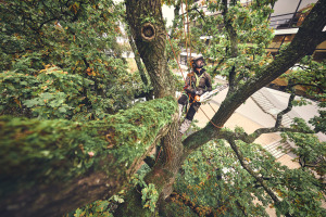 MSA 220 TC-O, zonder accu en lader, 30 cm, PS3 Pro, 3/8"