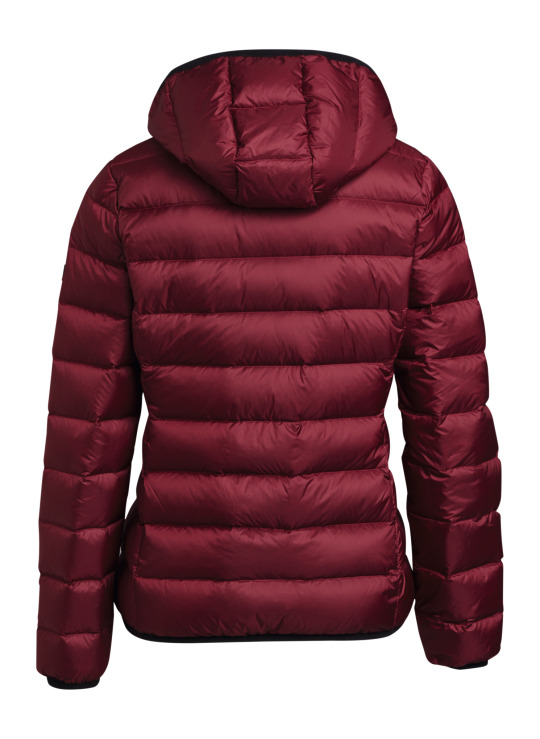 Donsjack ICON, dames, rood, maat XL