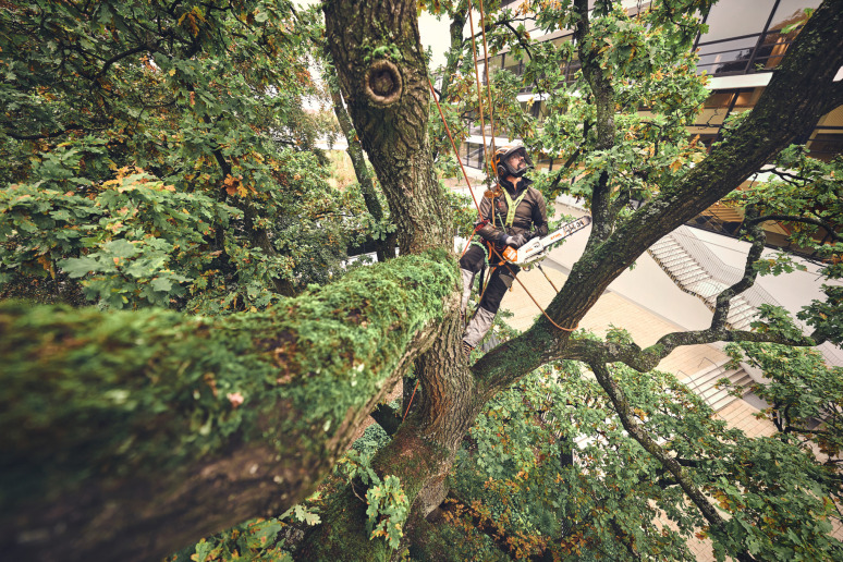 MSA 220 TC-O, zonder accu en lader, 30 cm, PS3 Pro, 3/8"