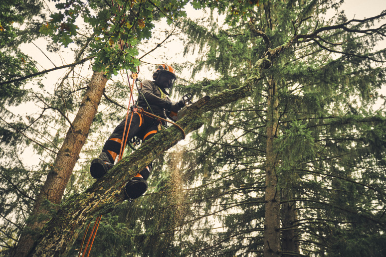 MSA 220 TC-O, sans batterie ni chargeur, 35 cm, PS3 Pro, 3/8"