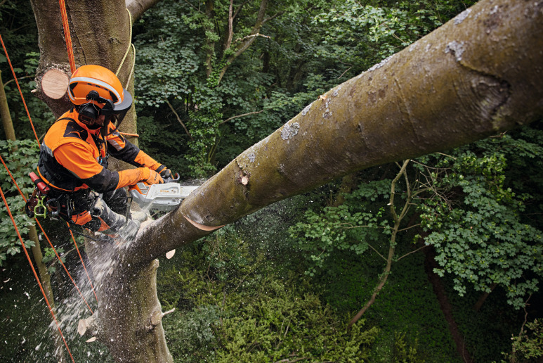 Set spécial MSA 220.0 T, avec batterie AP 300 S et chargeur AL 301 , 35 cm, PS3